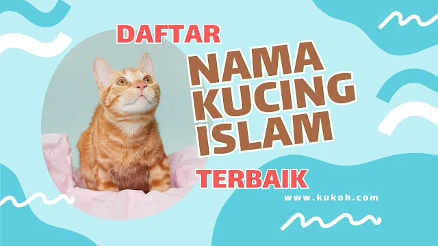 Daftar Nama Kucing Islam Terbaik