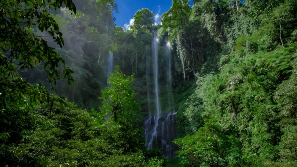 Bali Sekumpul Waterfall